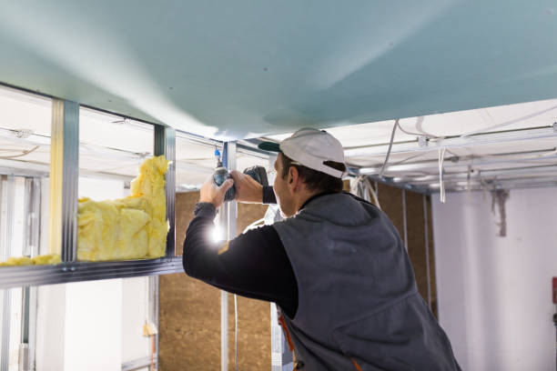 Best Insulation Maintenance and Repair in Milford, OH